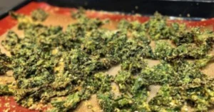 Anti-Inflammatory Cheesy Kale Chips