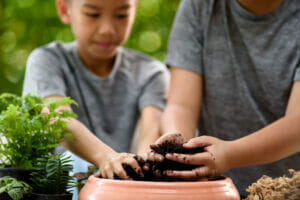 Boys planting and playing with the earth.