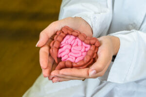 Gastroenterological manual. A model of the human intestine in the hands of a doctor. Taking care of digestion. Intestinal health. Large and small intestine in doctor hands.