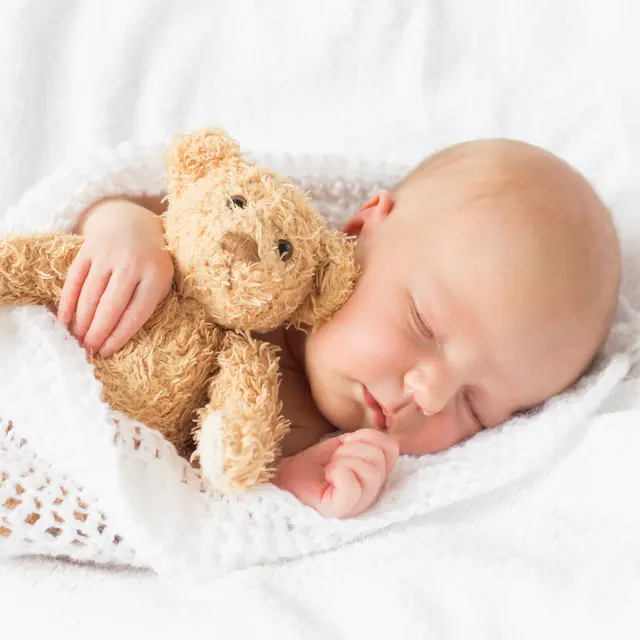 Fertility Support