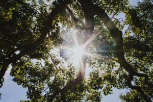 The Benefits of Sun Exposure