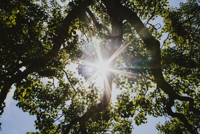 The Benefits of Sun Exposure