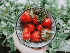 A compilation of 5 incredibly nutritious healthy food items