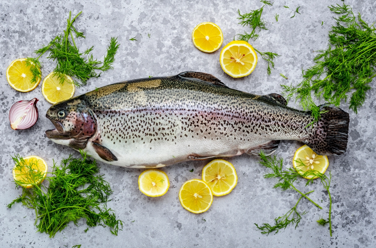 fish shutterstock 2569488873