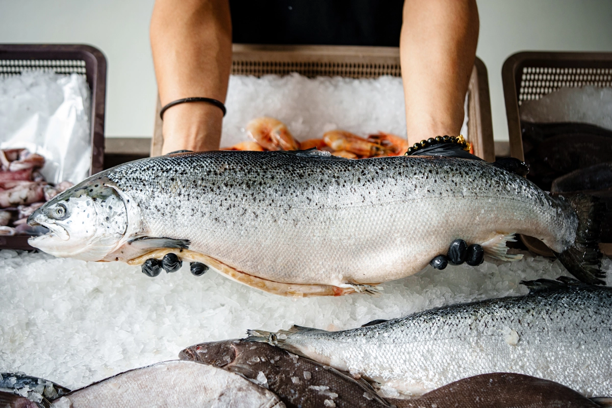 fish shutterstock 2710351765